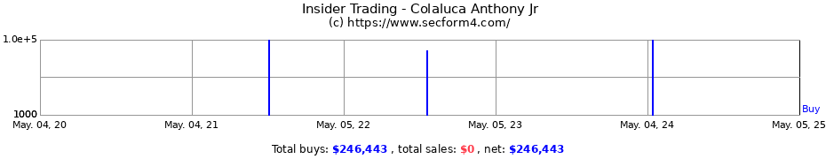 Insider Trading Transactions for Colaluca Anthony Jr