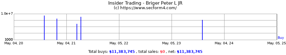 Insider Trading Transactions for Briger Peter L JR