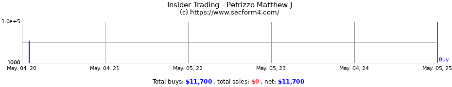 Insider Trading Transactions for Petrizzo Matthew J