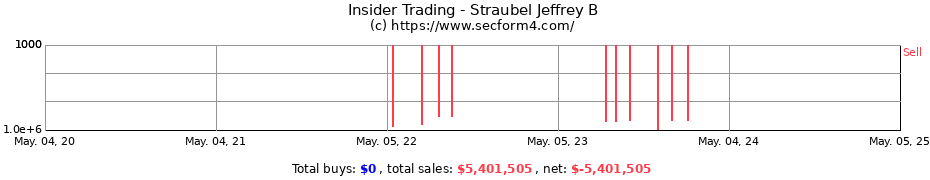Insider Trading Transactions for Straubel Jeffrey B