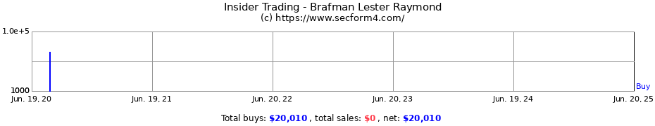 Insider Trading Transactions for Brafman Lester Raymond