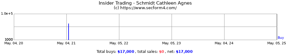 Insider Trading Transactions for Schmidt Cathleen Agnes