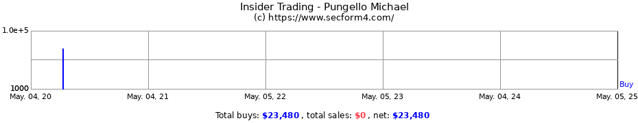 Insider Trading Transactions for Pungello Michael