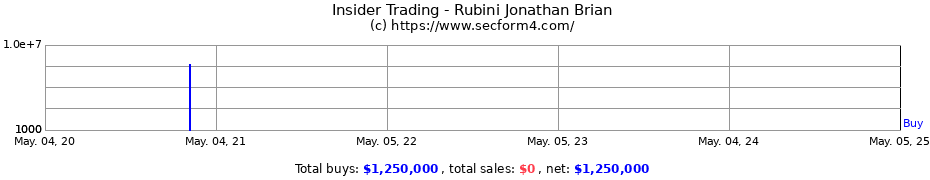 Insider Trading Transactions for Rubini Jonathan Brian