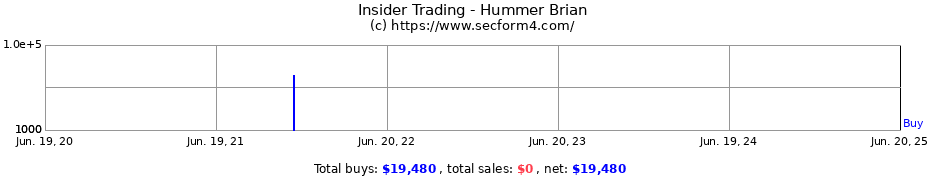 Insider Trading Transactions for Hummer Brian