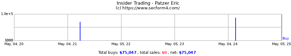 Insider Trading Transactions for Patzer Eric