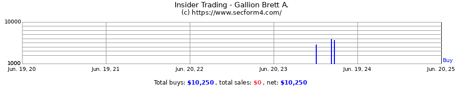 Insider Trading Transactions for Gallion Brett A.