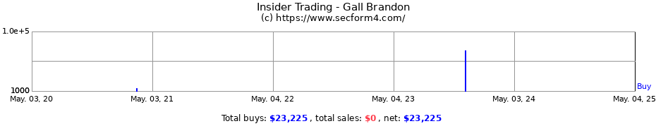 Insider Trading Transactions for Gall Brandon