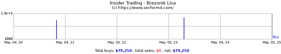 Insider Trading Transactions for Brezonik Lisa