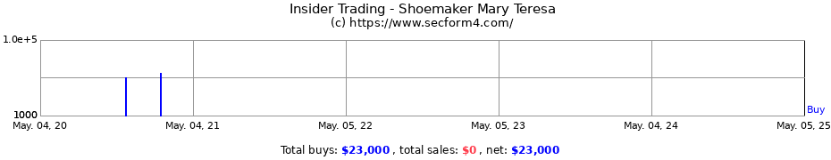Insider Trading Transactions for Shoemaker Mary Teresa