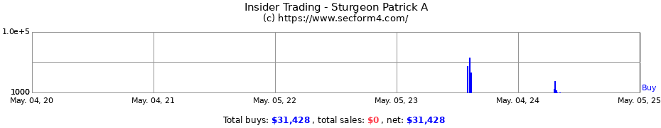 Insider Trading Transactions for Sturgeon Patrick A