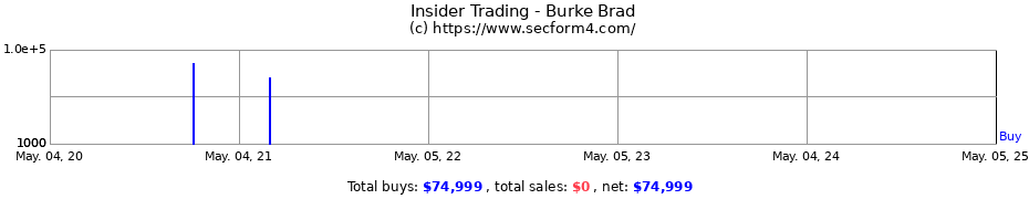 Insider Trading Transactions for Burke Brad