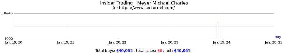 Insider Trading Transactions for Meyer Michael Charles