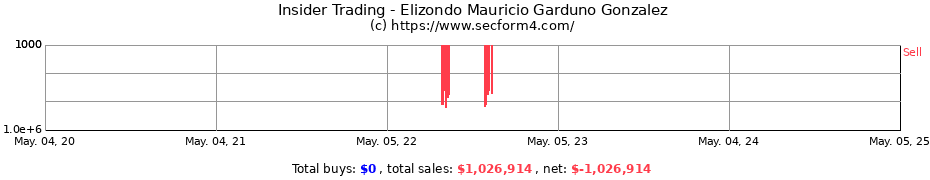 Insider Trading Transactions for Elizondo Mauricio Garduno Gonzalez