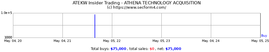 Insider Trading Transactions for ATHENA TECHNOLOGY ACQUISITION