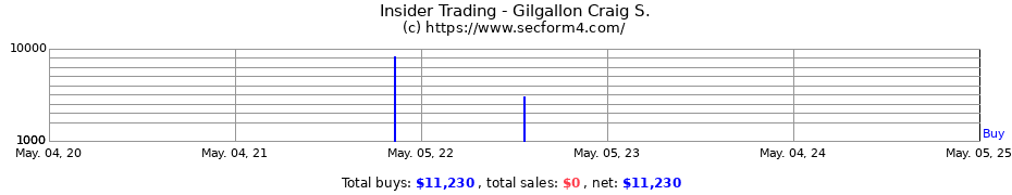 Insider Trading Transactions for Gilgallon Craig S.