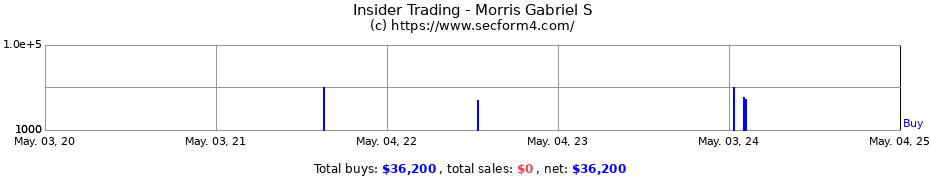 Insider Trading Transactions for Morris Gabriel S