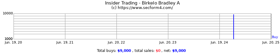 Insider Trading Transactions for Birkelo Bradley A