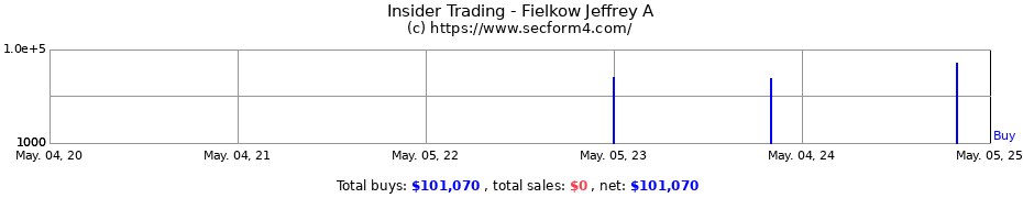 Insider Trading Transactions for Fielkow Jeffrey A