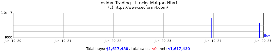 Insider Trading Transactions for Lincks Maigan Nieri