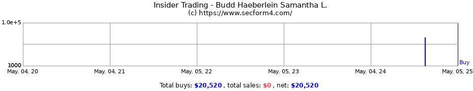 Insider Trading Transactions for Budd Haeberlein Samantha L.